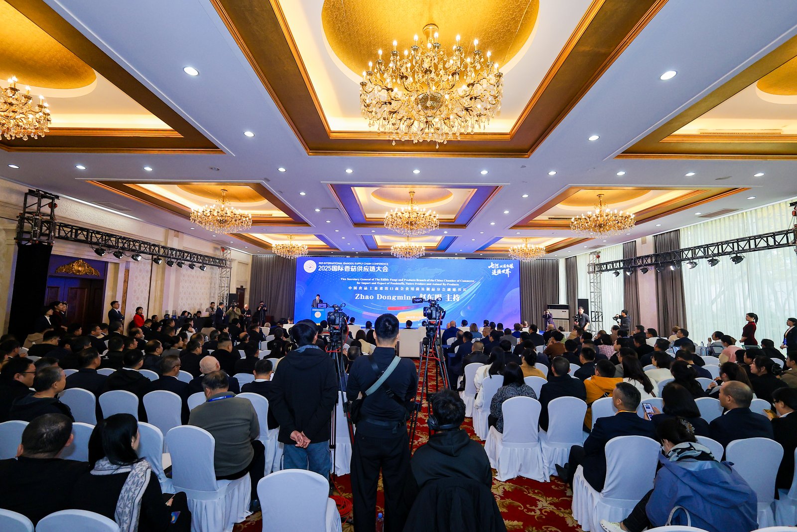 Qihe, Verbinden durch Pilze, Verbindung der Welt: Eröffnung der Internationalen Shiitake-Lieferkettenkonferenz 2025 in Zibo, Shandong 02.jpg 