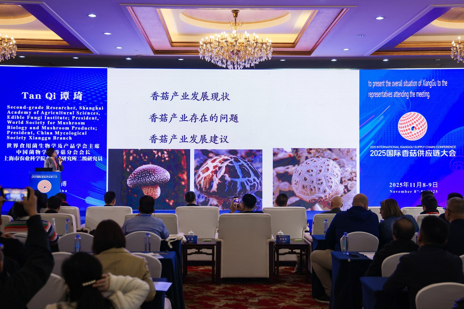 Qihe, Verbinden durch Pilze, Verbindung der Welt: Eröffnung der Internationalen Shiitake-Lieferkettenkonferenz 2025 in Zibo, Shandong 12.jpg 
